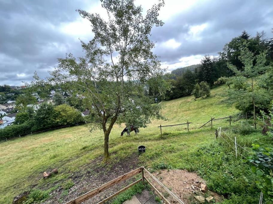 Altes Bauernhaus In Der Natur Detmold Exterior foto